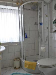 ザスニッツにあるFerienwohnung Emelyのバスルーム(シャワー、トイレ付)