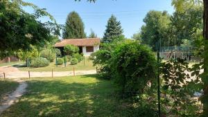 un cortile con una casa sullo sfondo di Amazonka a Sombor