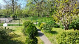 Giardino di Amazonka
