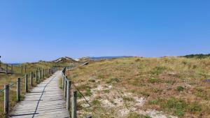 a wooden boardwalk leading up a hill to a beach at Terra e Mar in Amorosa +9 photos