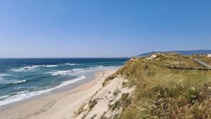 a beach with a train on it next to the ocean at Terra e Mar in Amorosa
