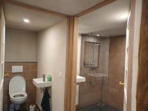 ein Bad mit einem WC, einem Waschbecken und einer Dusche in der Unterkunft Le Sanglier Sauvage in Bussières-lès-Belmont
