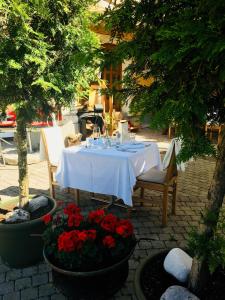Um jardim no exterior de Scheffer's Hotel