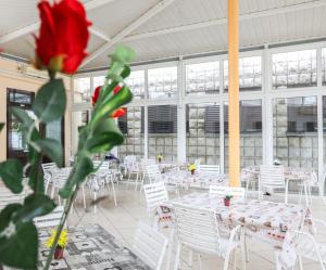a room with white tables and white chairs and a red rose at HI Hostel Dubrovnik in Dubrovnik