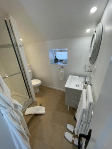 een badkamer met een douche, een wastafel en een toilet bij Maison Hirondelles Gîtes in Mézières-sur-Issoire
