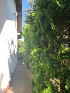 a sidewalk next to a bush next to a building at Willa 250 M z basenem, jacuzzi, ogrodem , tarasem oraz 2 hektary sadu , kominek i inne atrakcje 