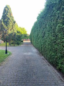 a cobblestone path in a park next to a hedge at Willa 250 M z basenem, jacuzzi, ogrodem , tarasem oraz 2 hektary sadu , kominek i inne atrakcje 