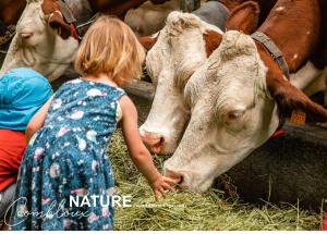 een klein meisje aait een koe die hooi eet bij Chalet Alpen Valley, Mont-Blanc in Combloux