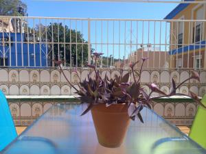 Piso Centrico 1.5km Playa con gran terraza +vistas的阳台或露台