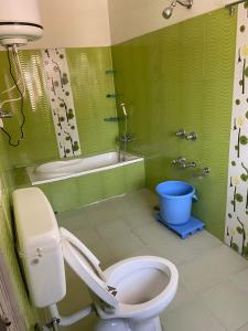uma casa de banho verde com um WC e uma banheira em Hotel Mari gold em Srinagar