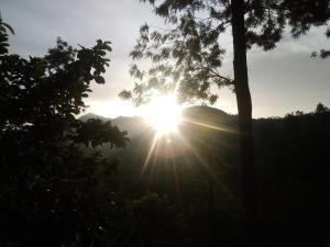 Fotografie z fotogalerie ubytování Ella Jayamali Homestay v destinaci Ella