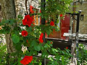 モンテフィアスコーネにあるLa Baronessa Country Houseのベンチ横の赤い花の茂み