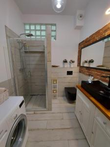 a bathroom with a shower and a washing machine at Apartment Ksiecia Witolda 43 in Wrocław