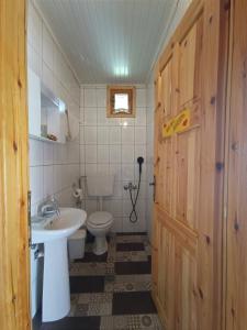a bathroom with a white toilet and a sink at Mountain House Kastro in Kástron