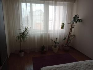 Postel nebo postele na pokoji v ubytování modern home