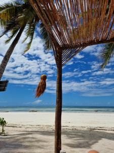 una palmera en una playa con el océano en Ayla Beach House en Kiwengwa