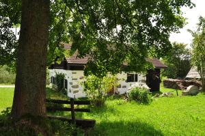 Zahrada ubytování Hotel des Glücks - Landhotel Fischl