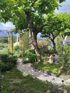 un jardín con un árbol, un banco y árboles en Apartma Salvia-Guest House en Lucija