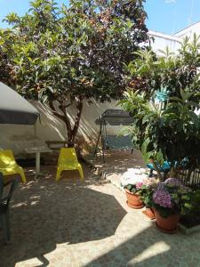 レッチェにあるB&B Fenice Baroccaの木々や植物のあるパティオ(テーブル、椅子付)