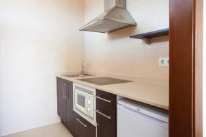 Kuchnia lub aneks kuchenny w obiekcie Apartamentos Don Quijote