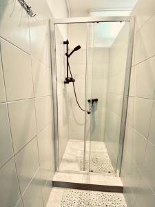 a shower with a glass door in a bathroom at Połoninka in Ustrzyki Górne