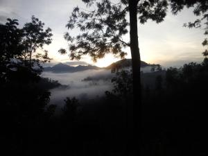 a view of a foggy valley with a tree at Ella Jayamali Homestay in Ella