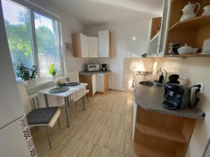 une petite cuisine avec deux lavabos et une table dans l'établissement Apartment city centrum, à Nitra