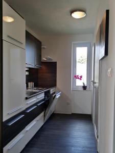 Kuchyň nebo kuchyňský kout v ubytování Apartmán U Labe