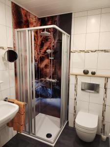 uma casa de banho com um chuveiro e um WC. em Urlaub-im-Haus-Nietmann-FW-2 em Altenau