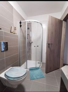 a bathroom with a shower with a toilet and a sink at Apartmán s terasou a výhledem na jezero Lipno in Kovářov