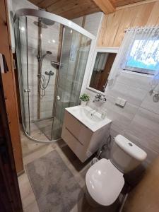 ein Bad mit einer Dusche, einem WC und einem Waschbecken in der Unterkunft U myslivce in Chřibská