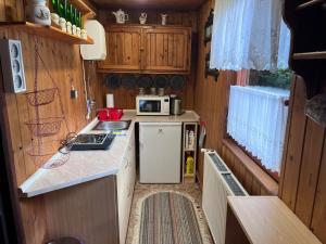 eine kleine Küche mit einem Kühlschrank und einer Mikrowelle in der Unterkunft U myslivce in Chřibská