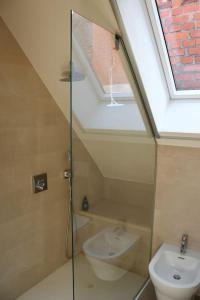 a bathroom with a shower and a toilet and a skylight at Stairway to Ljubljana Apartment in Ljubljana