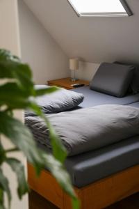 two twin beds in a room with a plant at Stairway to Ljubljana Apartment in Ljubljana