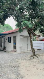Una casa blanca con un árbol delante. en Kota Bharu RS Desa Roomstay, en Kampong Haji Musa