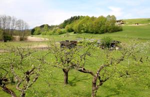 Paesaggio naturale nelle vicinanze dell'hotel
