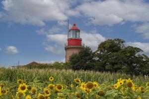 a lighthouse in the middle of a field of flowers at Gemütliche Ferienwohnung Oase 22 in Kühlungsborn