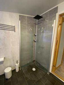 a bathroom with a glass shower and a toilet at Leilighet Sølendet, i Brekken ved Røros in Røros +13 photos