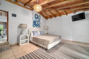 a bedroom with a bed and a flat screen tv at Amouage Boutique Home in Skiathos