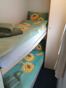 twee stapelbedden in een kamer met bloemen erop bij Domek holenderski in Moryń