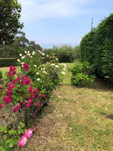 um jardim com flores rosas e brancas na relva em Casa Tula em Ortigueira