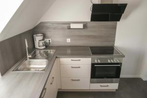 Kuchyň nebo kuchyňský kout v ubytování Ferienwohnung Woelfel