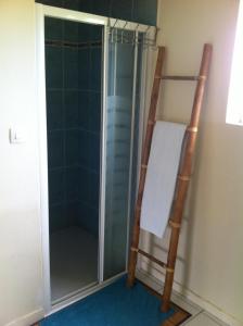 a glass shower door with a ladder in a bathroom at Chambre d'hôte El Dorado in Vittefleur