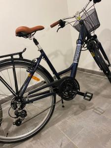 een fiets met een mand in een kamer bij Studio cocooning - Terrasse - Jardin - Piscine in Menton