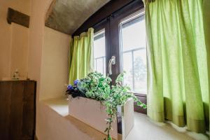 Fotografie z fotogalerie ubytování SMART San Martino v destinaci Paratico