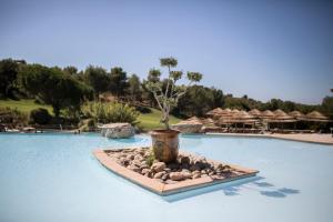 a potted tree on a island in the middle of a swimming pool at Le Fregate Provence in Bandol