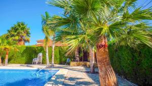 a group of palm trees next to a swimming pool at Inftour La viña Bungalow in Calpe