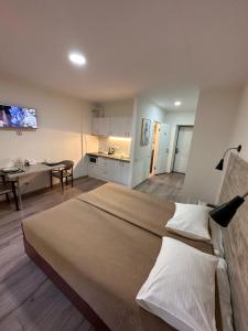 a bedroom with a large bed and a kitchen at Smart Apart in Vinnytsya