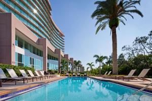 a swimming pool with chairs and a palm tree in front of a building at Grand Hyatt Tampa Bay in Tampa