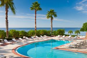 uma piscina com espreguiçadeiras e palmeiras em Grand Hyatt Tampa Bay em Tampa